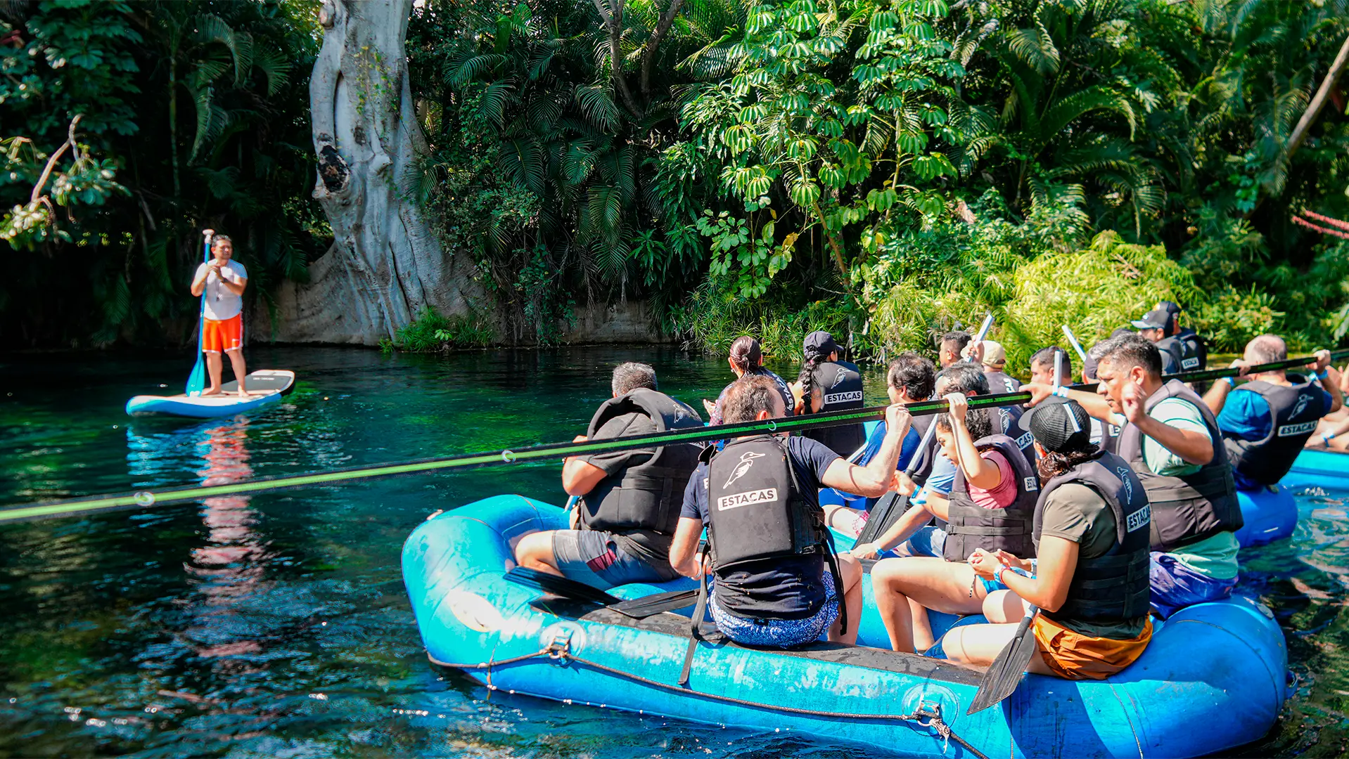 Actividades en las estacas