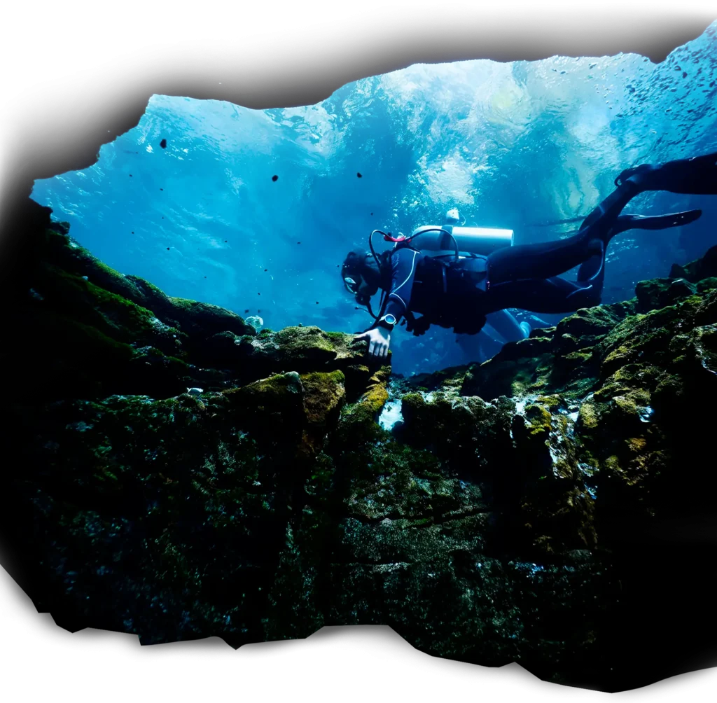 buzo Imagen de buzo en las estacas