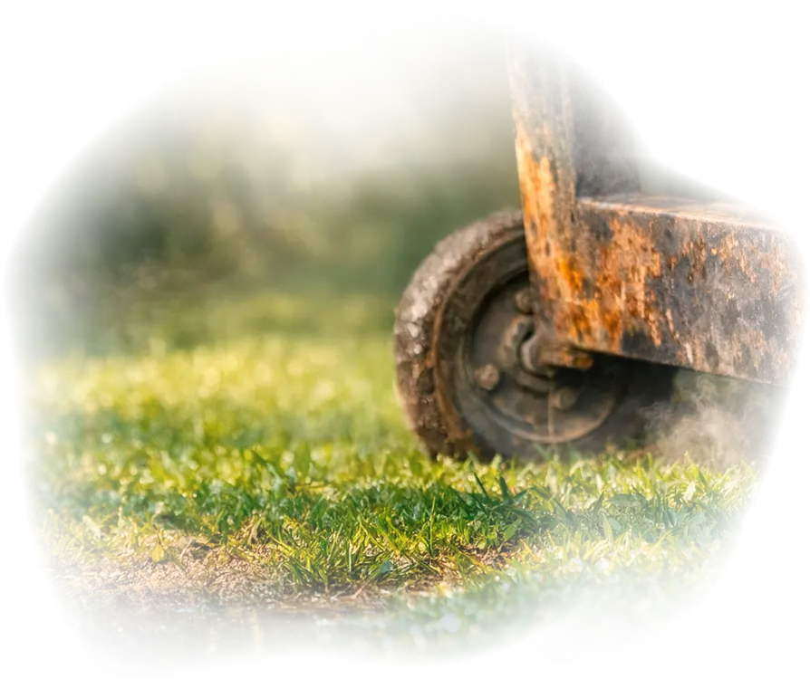 Fondo para ave en las estacas