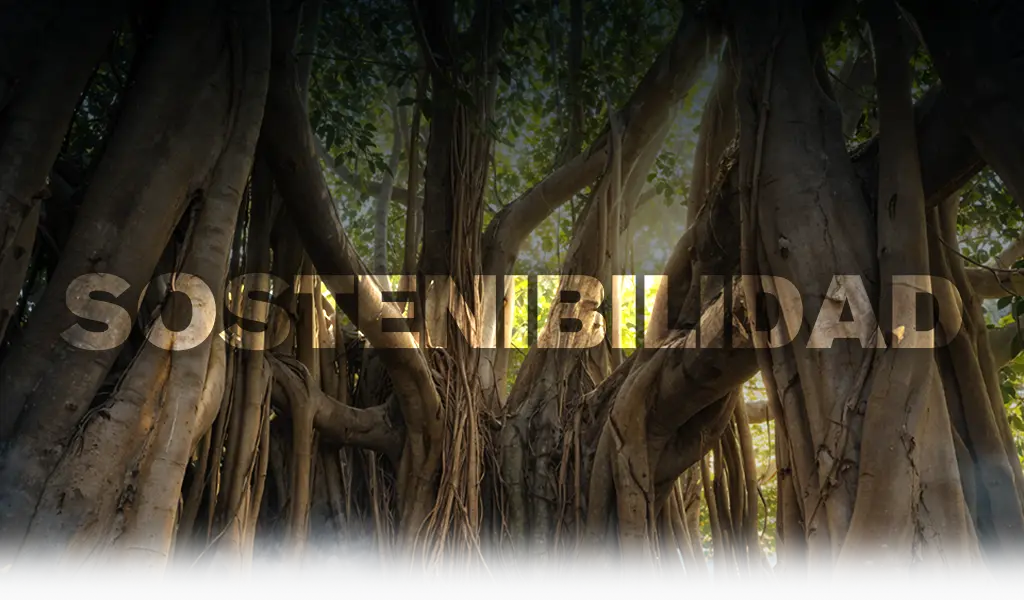 banner de sostenibilidad para tabletas las estacas