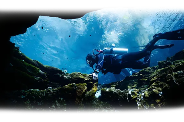 BUCEO-DESVANECIDO buceo en las estacas