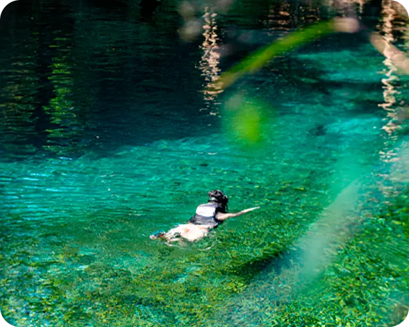 imagen para nota de blog microplásticos en rio