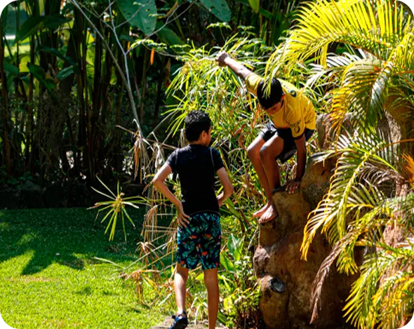 imagen para nota de blog turismo regenrativo