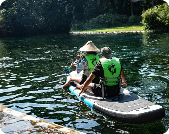 imagen para nota de blog baño de bosque