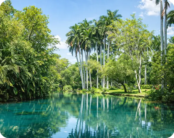 membresias foto para slider