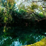 imagen para nota de blog AGUA CRISTALINA