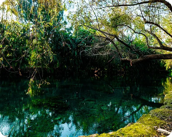 imagen para nota de blog AGUA CRISTALINA