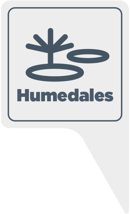 Humedales