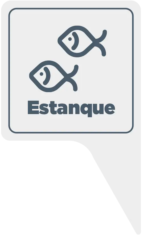 Estanque