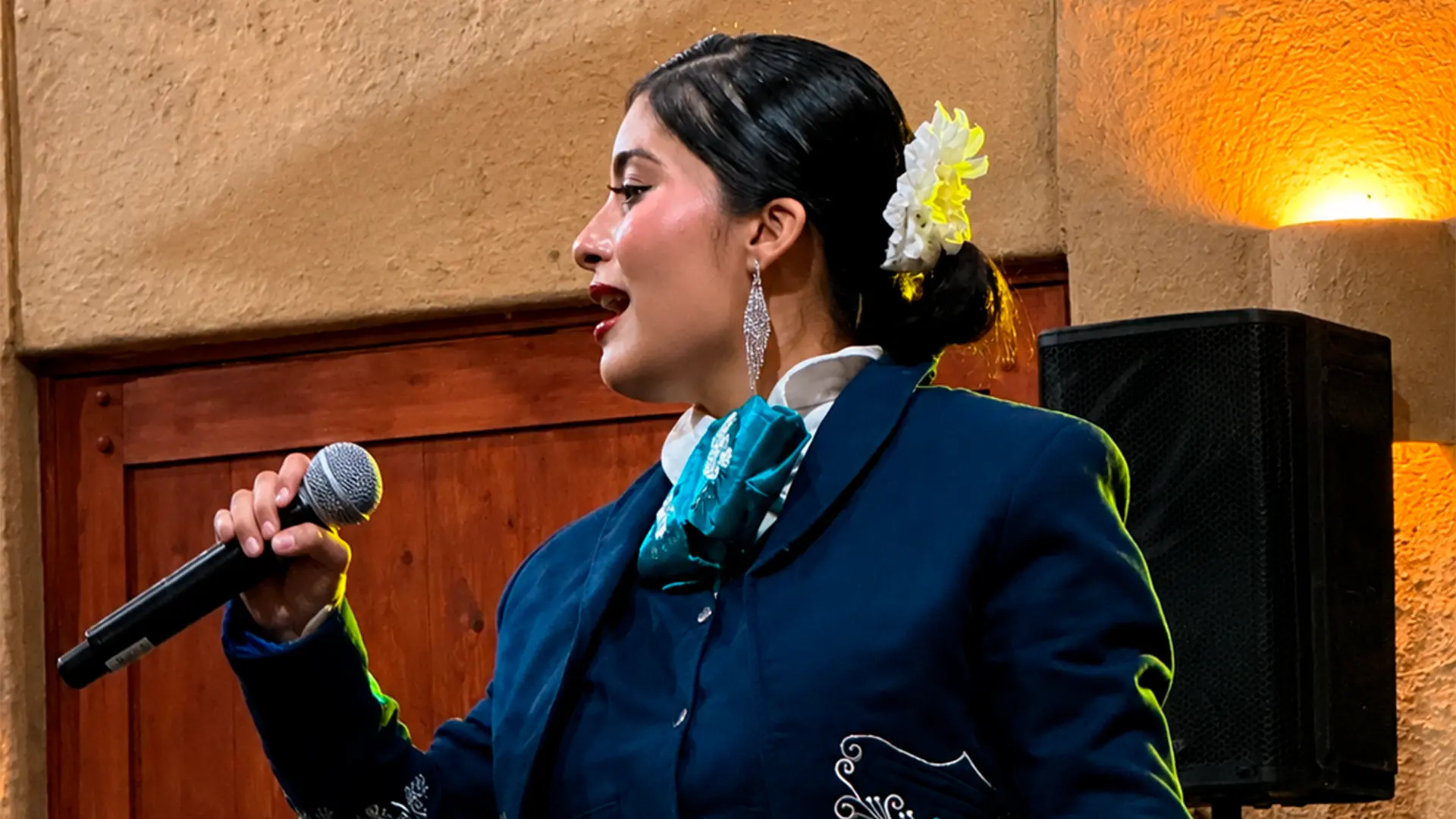 Imagen para galería de noche mexicana en las estacas